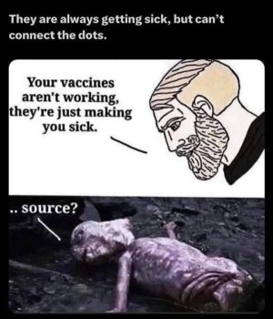 IMG_2232.jpeg