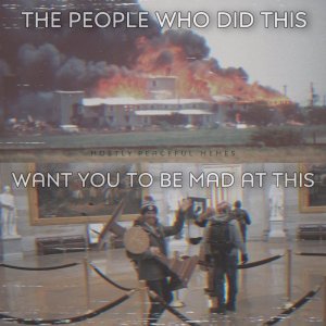 IMG_2247.jpeg