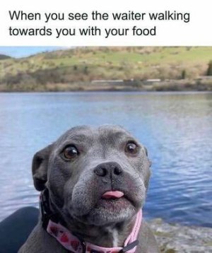 IMG_9973.jpeg
