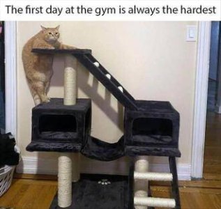 IMG_0036.jpeg