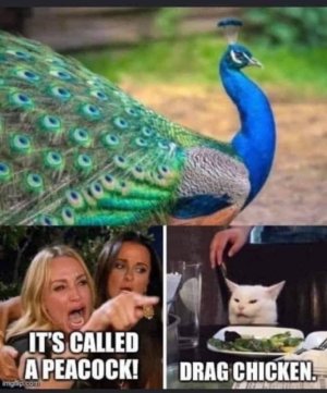 IMG_2456.jpeg