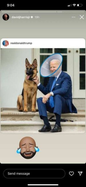 ConeOfShame.jpg