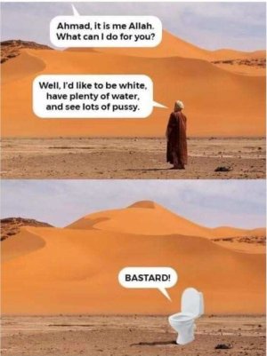 ahmed.jpg