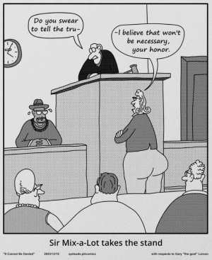 Sir Mixalot takes the stand.jpg