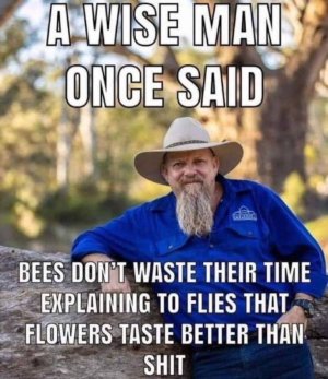 IMG_2672.jpeg