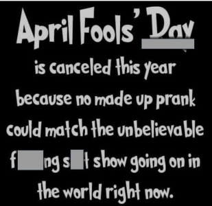 IMG_2705.png