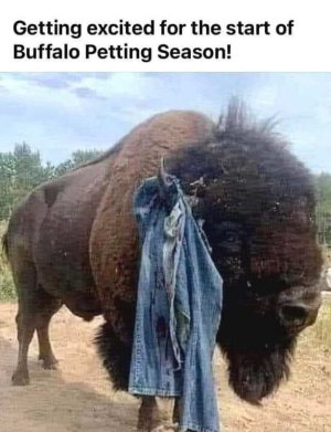PettingSeason.jpg