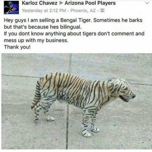 IMG_0361.jpeg