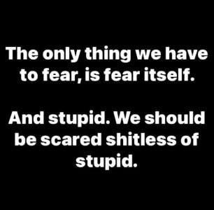 Stupid-fear.jpeg