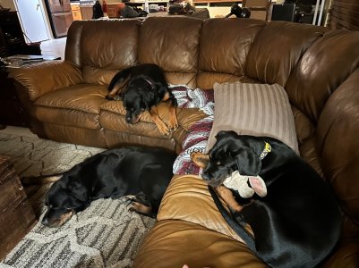 IMG_0310.jpeg