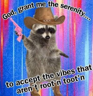 IMG_0410.jpeg