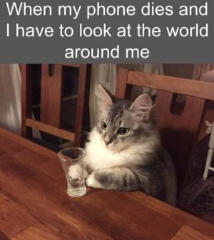 IMG_0400.jpeg