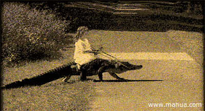 IMG_0486.gif