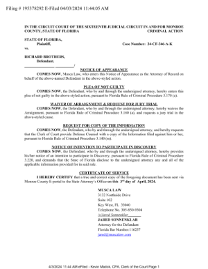 not guilty plea.png