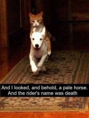 029C69E3-1615-46CF-A398-BCB54CD630DF.jpeg