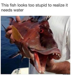 8D2FB25F-D5A6-43CB-9F47-542F96B52CE2.jpeg