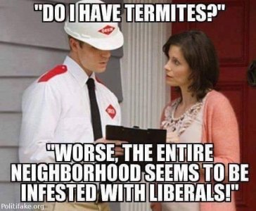 C8D53CB1-D37D-4CB9-8303-3FFAA947EAAF.jpeg