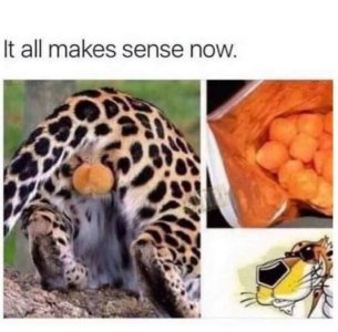 397A9B3D-194A-41C2-9DAD-CD1D2B0115C0.jpeg