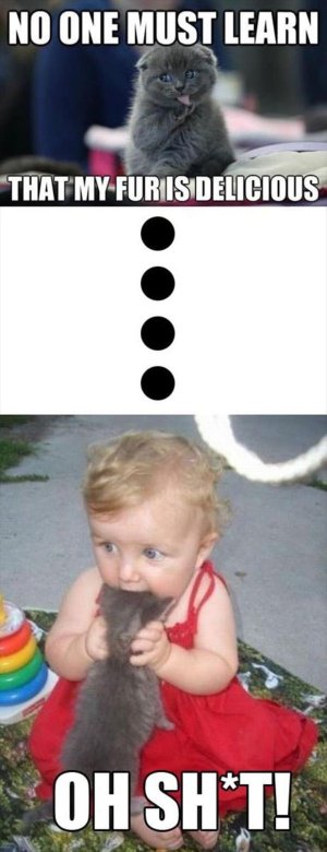 54AC3FC7-8785-474C-910D-8489BAB3DD9A.jpeg