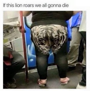3634A0D4-C2FD-4C4F-9325-FD863BB52D8F.jpeg