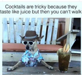 8429923C-ACAE-42AD-8DDA-C9ADD5C74EFC.jpeg