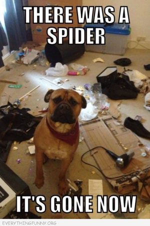 3F1B8206-A4A1-45F8-ACDC-4E60ED525382.jpeg