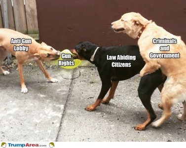 7C77A1D0-0394-4C4A-9032-8D9B919F2F6A.jpeg