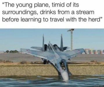 F381BE52-91F4-4E62-8421-138A1ED56310.jpeg