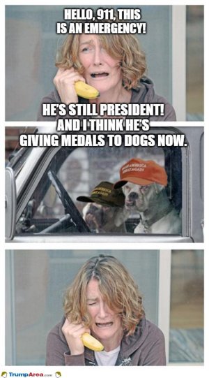 F51C0B1B-D66D-47AB-9D61-141D8D7CD23C.jpeg