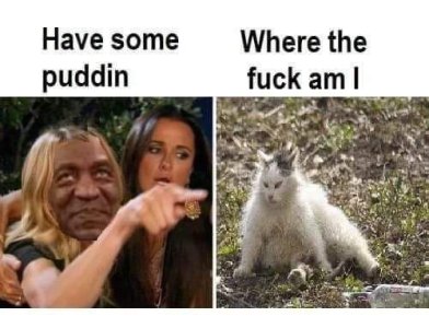 093E1C33-7C93-4D64-8AAE-D7FFB4757782.jpeg
