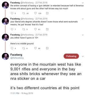 gun 4.png