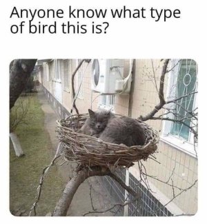 1FE6C0C4-E4B3-4676-B5E7-88794F658738.jpeg