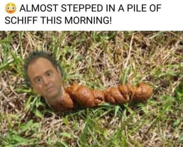 653F0FB7-BB55-4B89-88F1-CC0E24E26D5F.jpeg