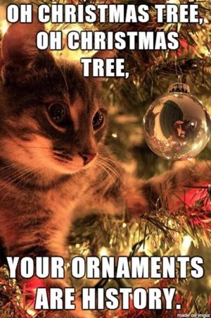 E6C935A2-6080-4B7F-8C50-8B4F610FB226.jpeg
