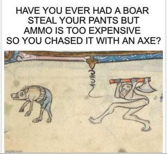boar.jpeg