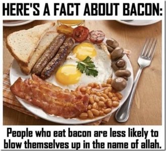 baconfact.jpg