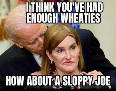 sloppy joe.jpg