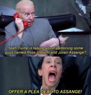 Assange plea deal.jpg