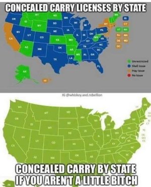 ConcealedCarryByState.jpg
