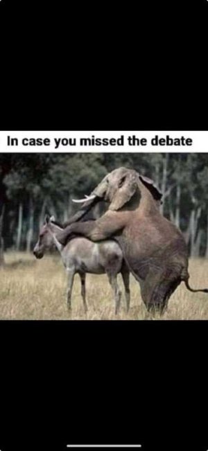 ElephantDonkey.jpg