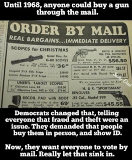 guns by mail vote by mail.png