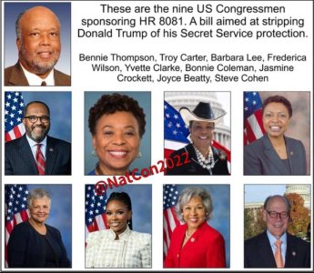 congressmen who supported assasination.jpg