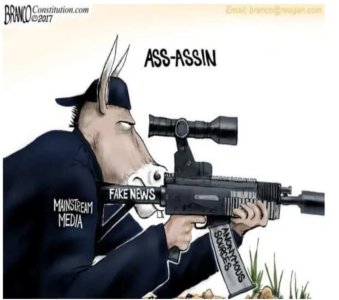 ass-assin.jpg
