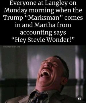 steevie wonder marksman.jpg