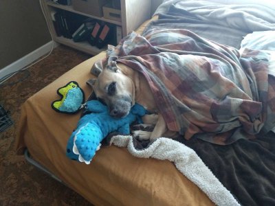 Carson tucked in.jpg