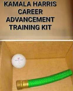 kamala career advancement kit.png