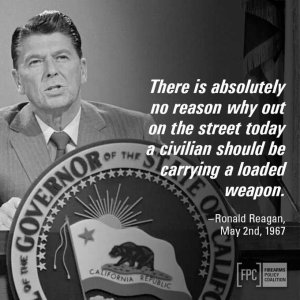 Reagan the gun banner 2.jpg
