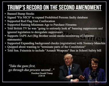 Trump's gun record.jpg