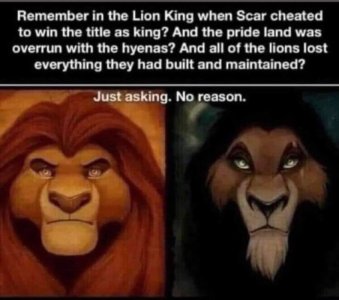 IMG_3319.jpeg