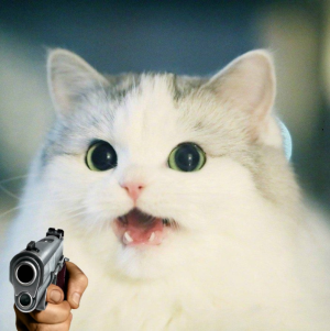 IMG_0517.PNG